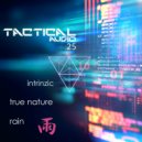 Intrinzic - True Nature