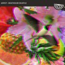ASP3CT - Boathouse Shuffle (Original Mix)
