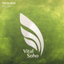 TbO & Vega - Moldau