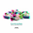 Daytona Team & Senmove - Concentrado (Original mix)