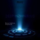 Deep Inzhiniring - Amplitude (Original Mix)