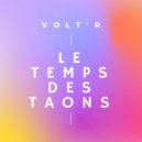 Volt\'R - Le Temps Des Taons (Original Mix)