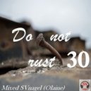 SVnagel (LV ) - Do Not Rust-30 SVnagel set ()