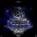 Shintuza - Unreal World