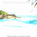 Tropical Christmas Moods - Silent Night ()