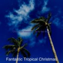Fantastic Tropical Christmas - Christmas at the Beach Away in a Manger ()