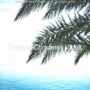 Tropical Christmas Vibes - Christmas at the Beach - Auld Lang Syne ()