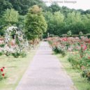 Tropical Christmas Romance - O Come All Ye Faithful ()