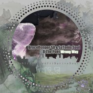 BruceDeeper & LuToniq Soul & B The Poet - Wrong Way (feat. B The Poet)