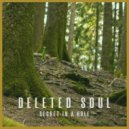 Deleted Soul - Secret In A Hole (Tuzzy Unplugged Remix)