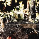 Anomalistic - Pointless