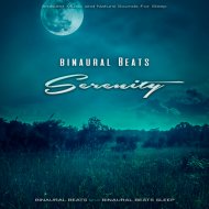 Binaural Beats & Binaural Beats Sleep - Beauty Of The Evening