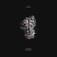 B. Riley - Strobe Shake