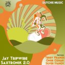 Jay Tripwire - Saxtronik (Silver Ivanov Remix)