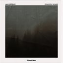 Janis Dzenis - Peaceful Minds ()