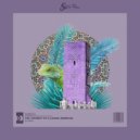 Taher.A  - The Journey Of A Lizard (Unes Remix)