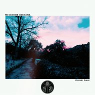 Melchior Sultana - I Feel You