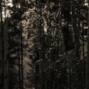 Francois Dillinger - Navigating The Swamp