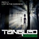 Peetu S - Lost In The Darkness