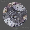 Stanny Abram, Koschenill - Amstel (Original Mix)