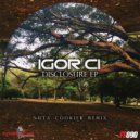 Igor Ci  - This is Disclosure