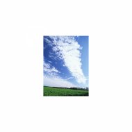 Mindfulness Healing BGM Project - Compatibility and Relaxation