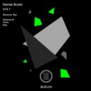 Hannes Bruniic - VOLT