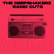 The Deepshakerz, Jako Diaz, Shyam P - No Questions