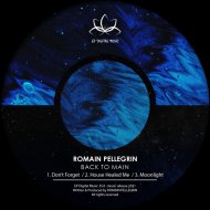 Romain Pellegrin - Don\'t Forget