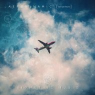 Gert-Jan Kleyne - Aerodynamic