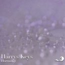 Harrys Keys - Harmony (Original mix)