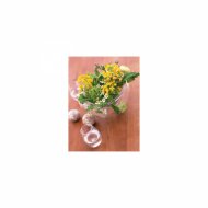 Mindfulness Healing BGM Project - Breathing and BGM