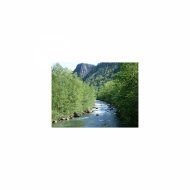 Mindfulness Healing BGM Project - Manet and Nervousness