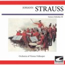 Orchestra of Vienna Volksoper - Light Blood op. 319