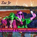 Zac Jr - Do What You Want