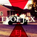Evol Jax - Due Diligence