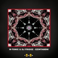 M-Tonic & Dj Frigoz - Ezintabeni