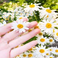 Studio ChillZen Piano & Exams Study - Good mood to the Sounds of Nature