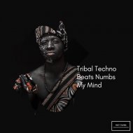 Dino Formes - Tribal Essence (Didgeridoo With Drums And Bass)