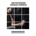 The Polymode - Wrong Opinion (Club Mix)