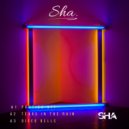 SHA - Around The World (Original Mix)