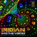Iridian and Braincell - Call From Another Galaxy (Original Mix)