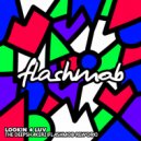 The Deepshakerz - Looking 4 Luv (Flashmob Rework)