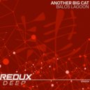 Another Big Cat - Balos Lagoon