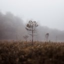 Innesti - Flutter and Haze (Original Mix)