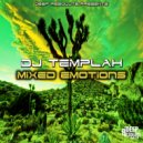 DJ Templah - The Jungle. (Original Mix)