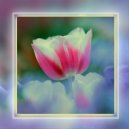 BoDo - Prompt (Original Mix)