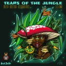 Selomi - Tears of The Jungle (Original Mix)