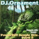 DJ Ornament - Powerfull Jungle Mix. Part 5 ()