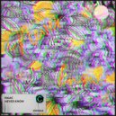 Naac - Never Know (Original Mix)